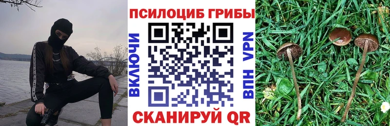Купить где  Сретенск  Псилоцибиновые грибы MAGIC MUSHROOMS 