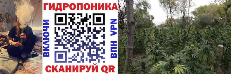 Купить закладки  Сретенск  Каннабис VHQ 